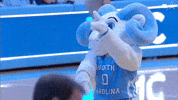 Excited Dance GIF by UNC Tar Heels