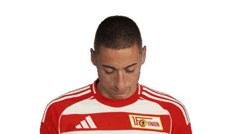 Union Berlin Ljubicic Sticker by Bundesliga