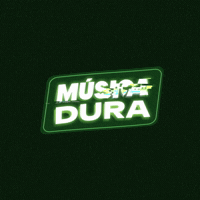 Festival Presidente 2026 GIF by Cerveza Presidente