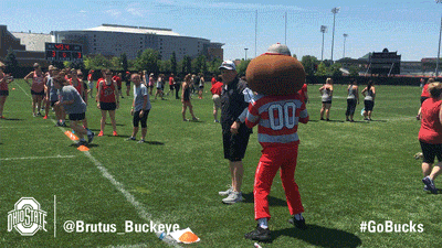 Ohio State Sport GIF by Ohio State Athletics