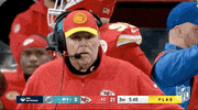National Football League GIF by NFL