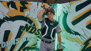 Baseball Bison GIF by NDSU Athletics