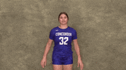 Cuw GIF by CUWFalcons