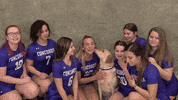 Cuw GIF by CUWFalcons