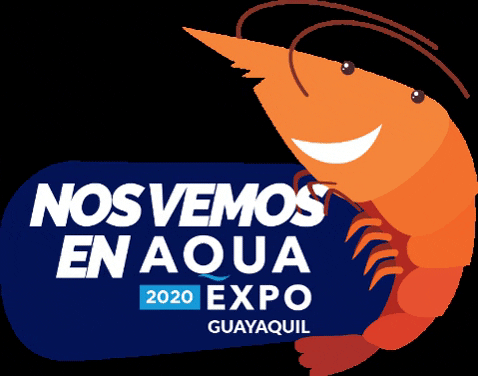 cna_ecuador giphygifmaker shrimp cna camaron GIF