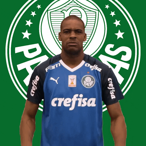 Palmeiras giphyupload soccer futebol gato GIF