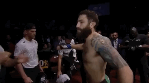 ufc 232 sport GIF by UFC