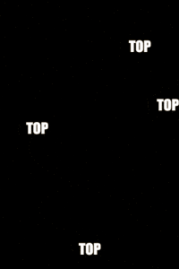 Le Chat Cat GIF by Recette pour diabétique