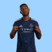 Mls GIF by New York City FC