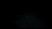 Water Lake GIF by Rhymesayers