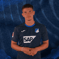 Sport Bundesliga GIF by TSG Hoffenheim