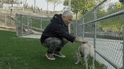 Dogwhisperer GIF by National Geographic Channel