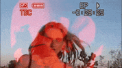 GIF by Royal & The Serpent