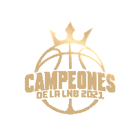 Basketball Brand Sticker by Sporter