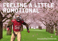 San Francisco 49Ers GIF by Madden Giferator