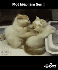 tumy GIF by Lozi Singapore Co.