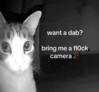 Dab Puffco GIF