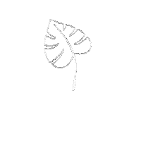 yogilea plant plants monstera greens Sticker