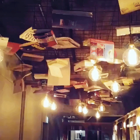 Lights and Books Shake as Earthquake Hits Tokyo