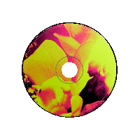 Art Spinning Sticker