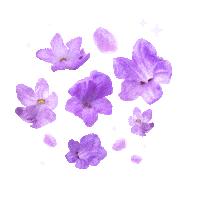 Flower Spring Sticker by MYBABYID