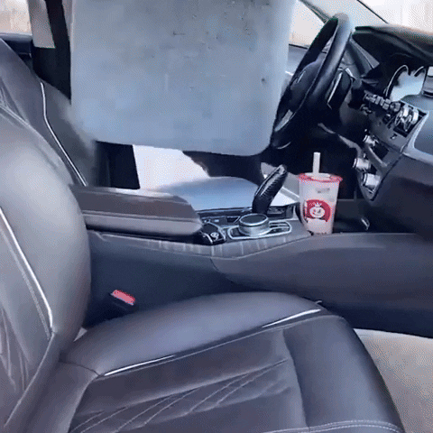 Plush Car Seat Cushion Hulgana – Hulgana Shop