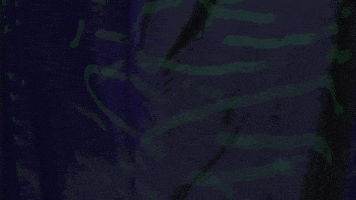 Rooster Teeth Olympics GIF by Achievement Hunter