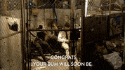 comedy central season 3 episode 20 GIF by Workaholics