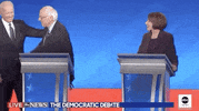 Bernie Sanders GIF by GIPHY News