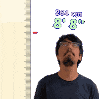 8Ft Sticker