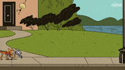 The Loud House Cats GIF by Nickelodeon