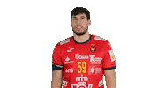 rfebalonmano handball spain espana balonmano Sticker