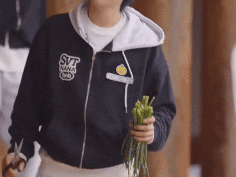Boo Seungkwan 세븐틴 GIF