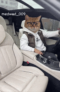 Medwed009 GIF