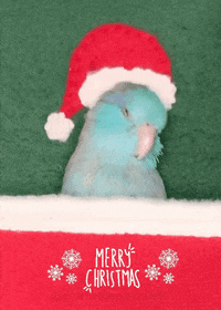 Have A Nice Day Love GIF