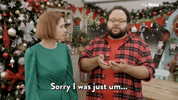 Looking at the Roku App