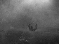 classic film GIF by Warner Archive