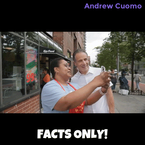 New York Vote GIF by Andrew Cuomo