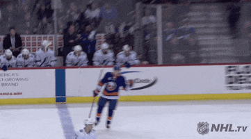 celebrate ice hockey GIF by NHL