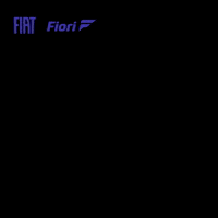 GIF by Fiori Fiat