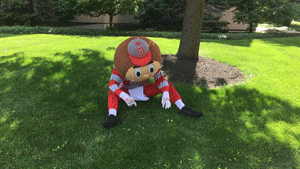 Ncaa Sports GIF by Ohio State Athletics