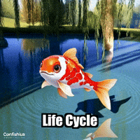 Life Cycle GIF by TheConfishius