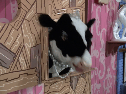 Season 5 Cow GIF by Pee-wee Herman