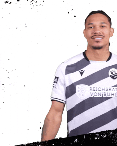3Liga Wirechtanders GIF by SV Sandhausen