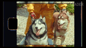mitch i'm a dog GIF by Interscope Records
