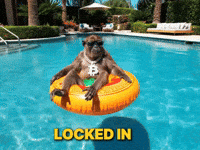 Locked In Bitcoin GIF by Binance.US