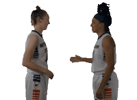 Basketball Sticker by WCSU