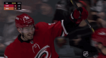 happy ice hockey GIF by NHL