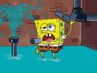 season 5 episode 6 GIF by SpongeBob SquarePants