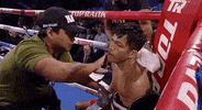 toprank boxing fighting espn fighters GIF